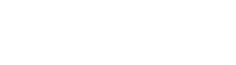 Andrade Carneiro